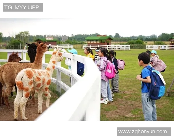 肥西举办安徽垂钓超级联赛家庭亲子福利赛邀您共享亲子乐趣